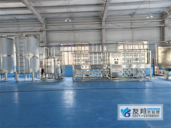 20T/H双级纯净水设备