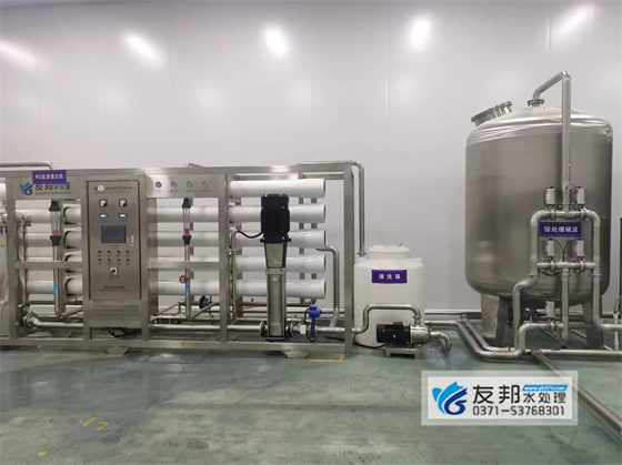 丹阳生物20吨反渗透系统